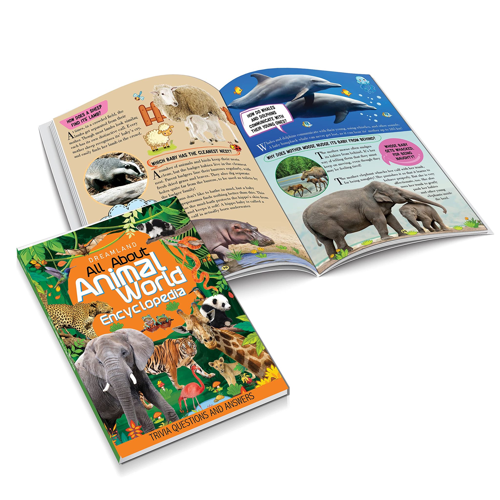 Dreamland Children Encyclopedia Books Pack for Age 5 - 15 Years