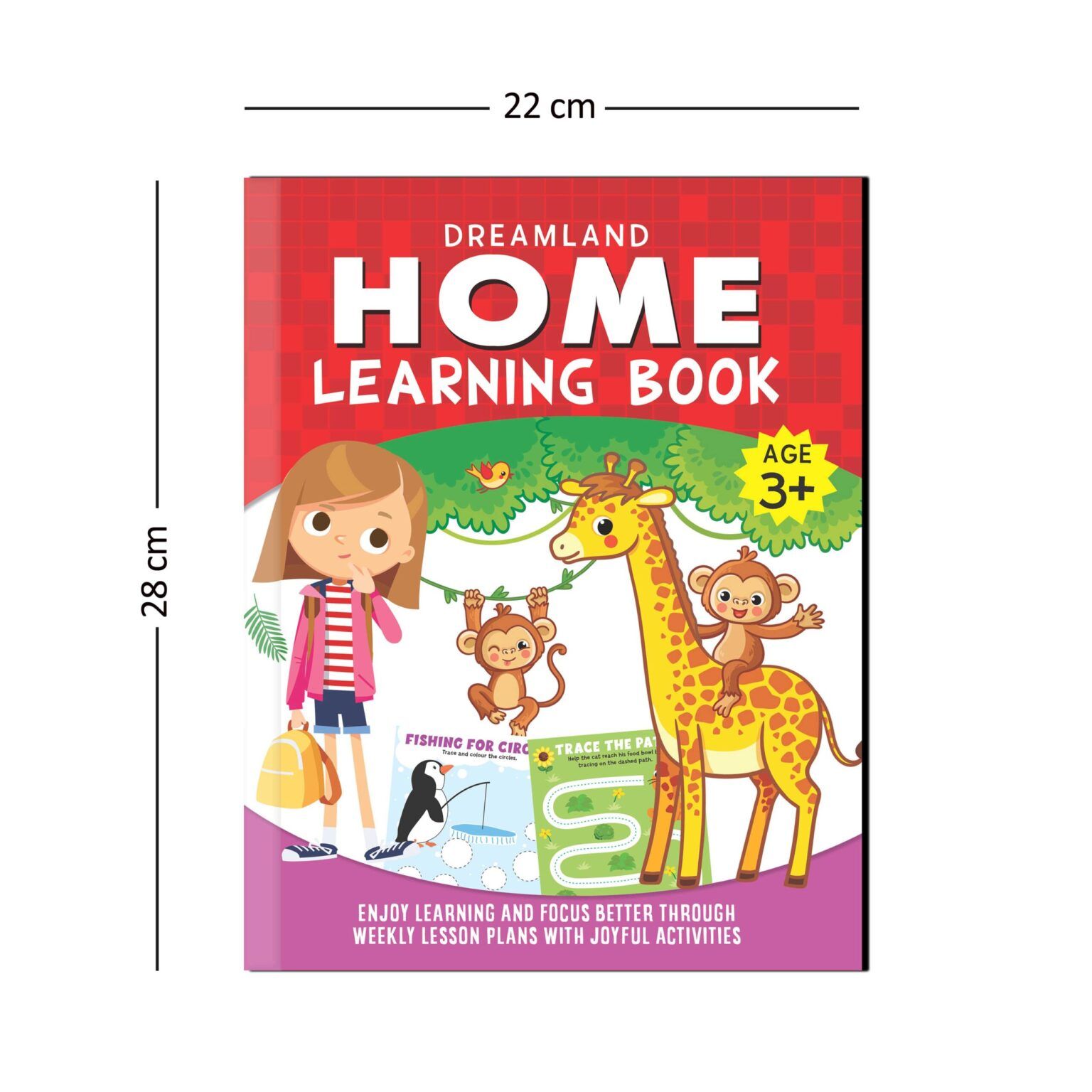 Dreamland Home Learning Book With Joyful Activities - 3+