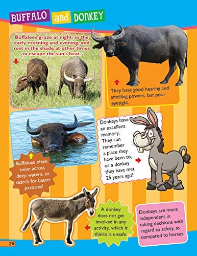 Dreamland Publications - 365 Facts on Animals and Birds