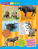 Dreamland Publications - 365 Facts on Animals and Birds