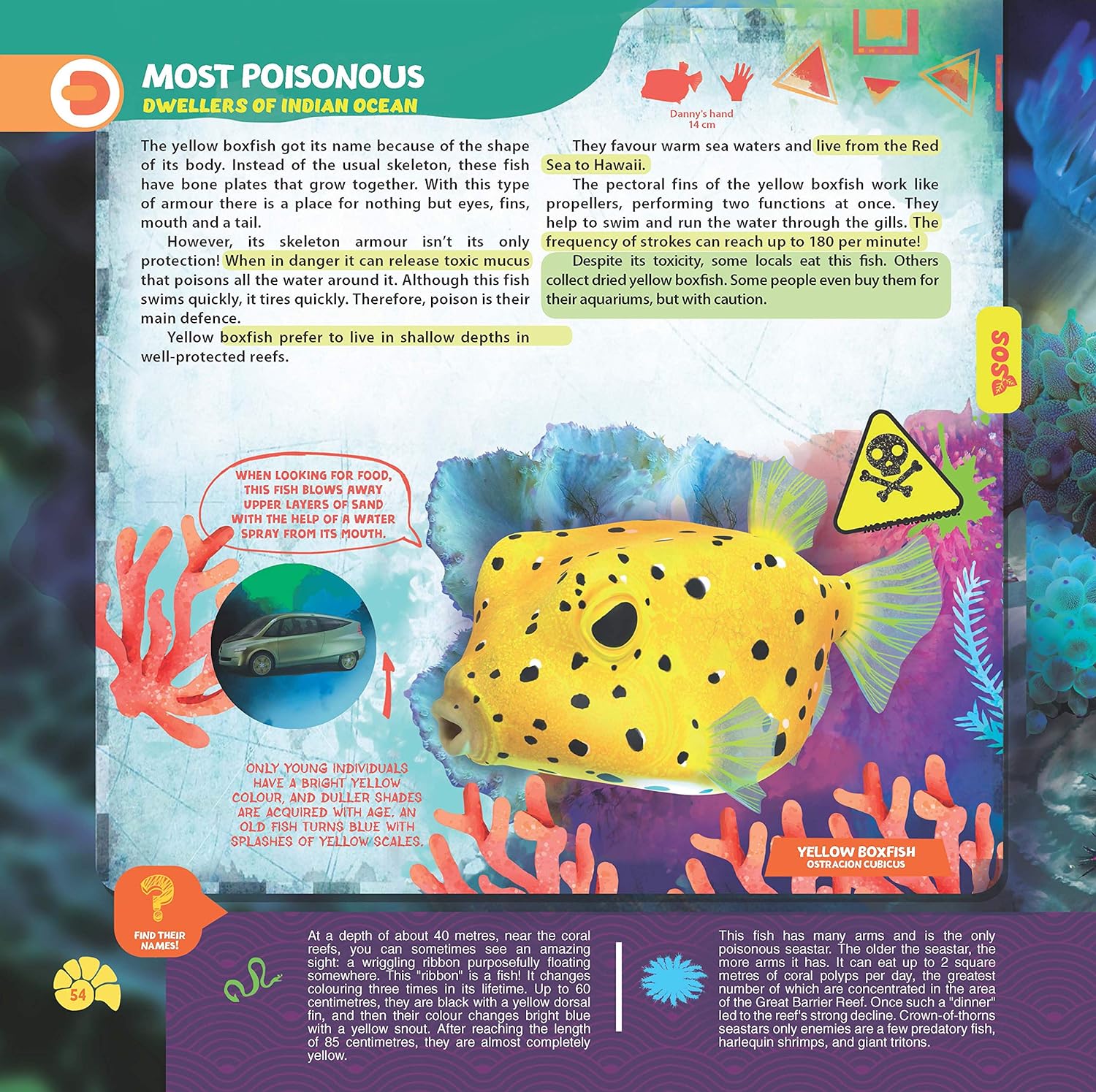 Dreamland Publications - Secrets of the Oceans WOW Children Encyclopedia in Augmented Reality