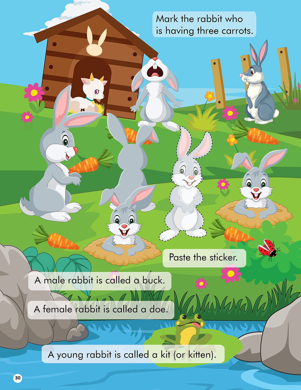 Dreamland Explore the Jungle Activity Book with Stickers and 3D Models