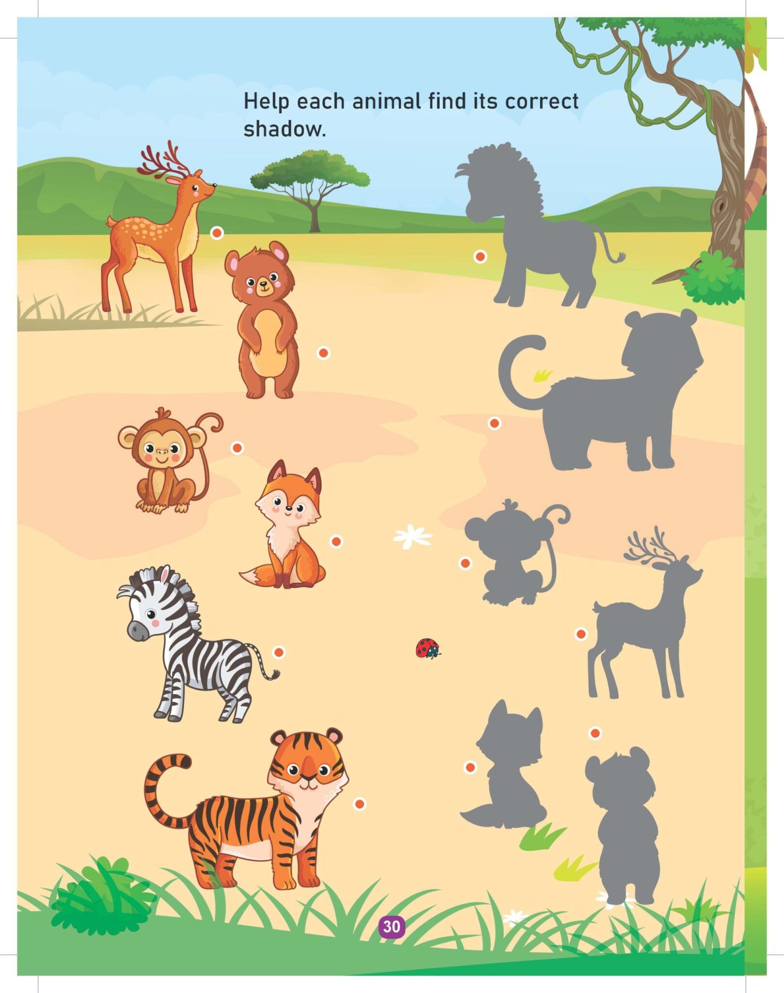 Dreamland Jungle Activity and Colouring Book