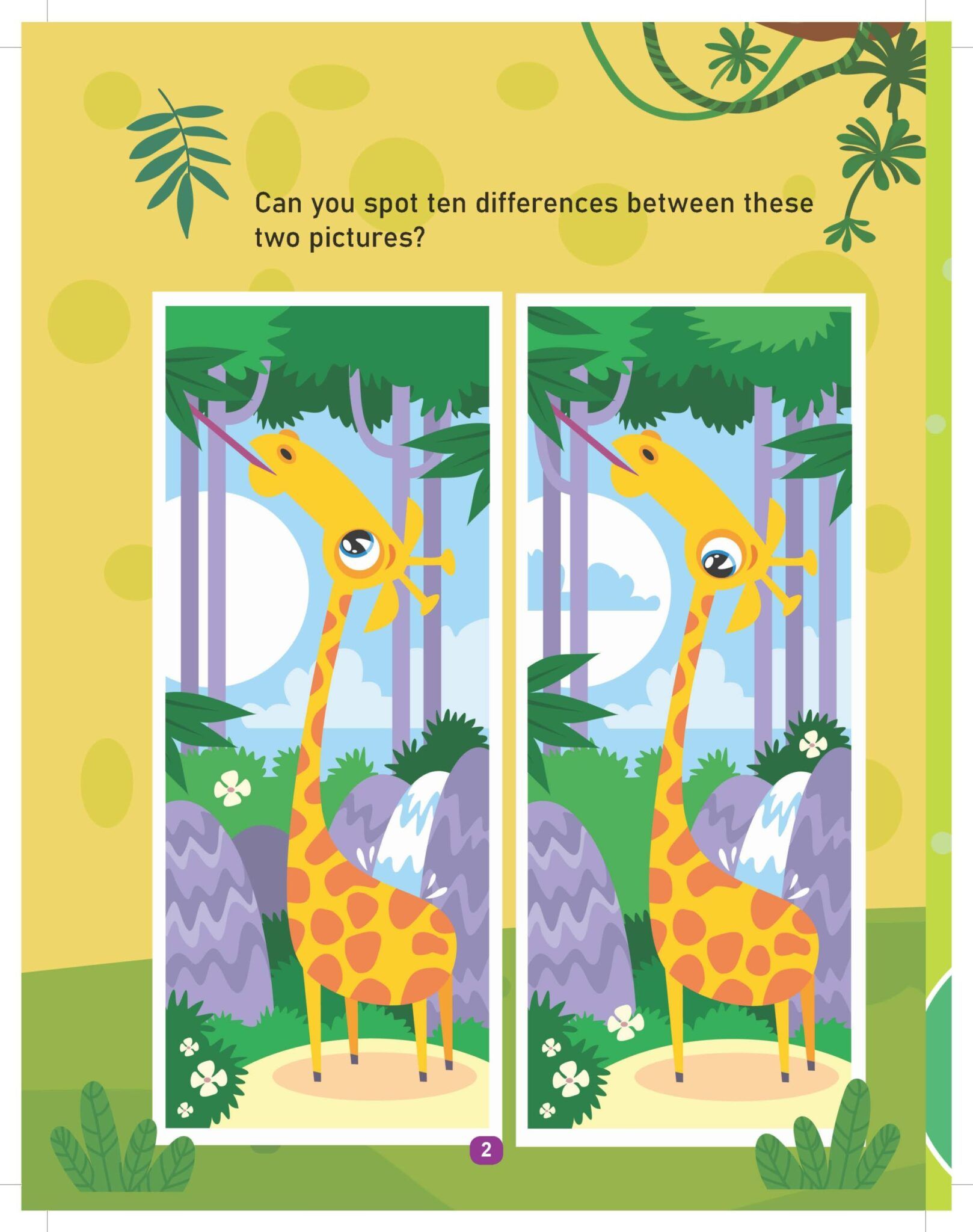 Dreamland Jungle Activity and Colouring Book