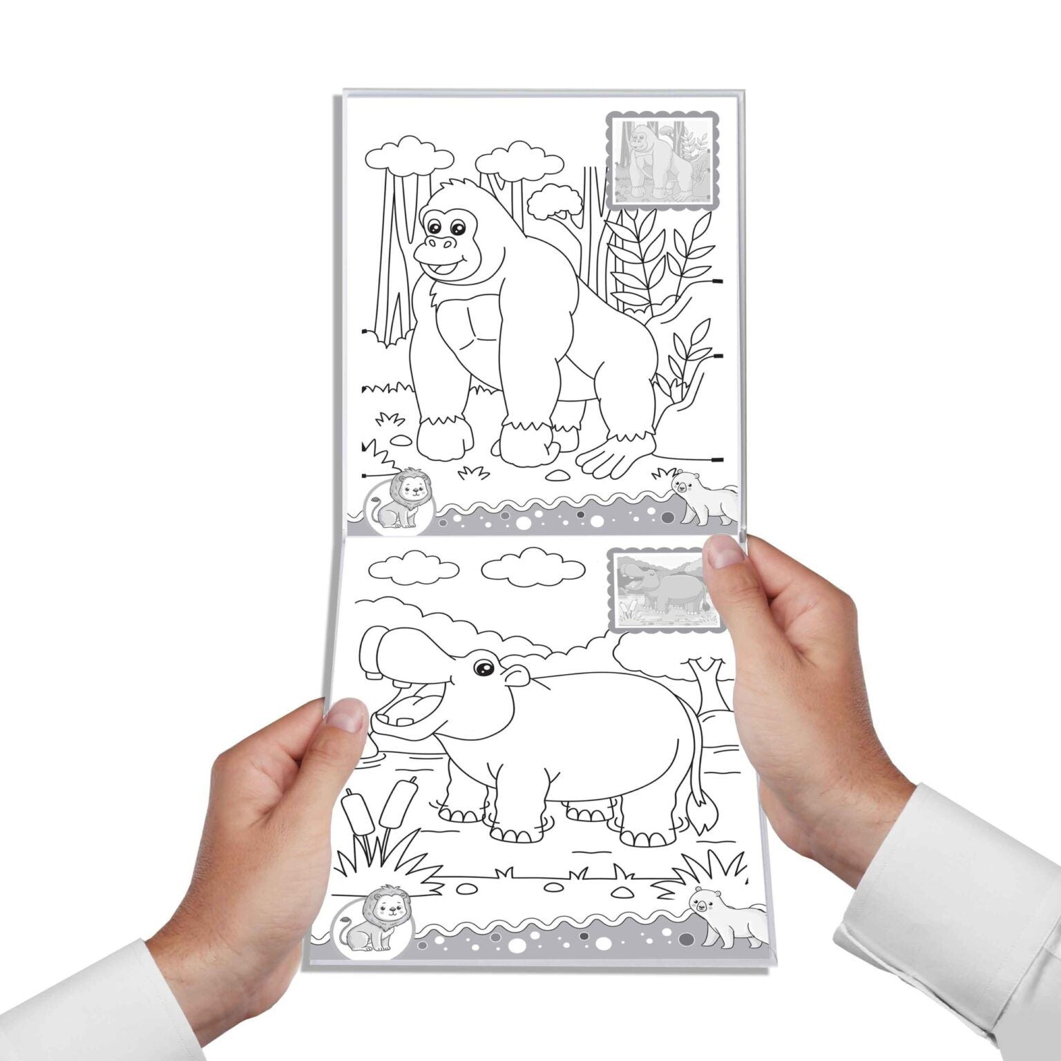Dreamland Jungle- It's Colour time with Stickers