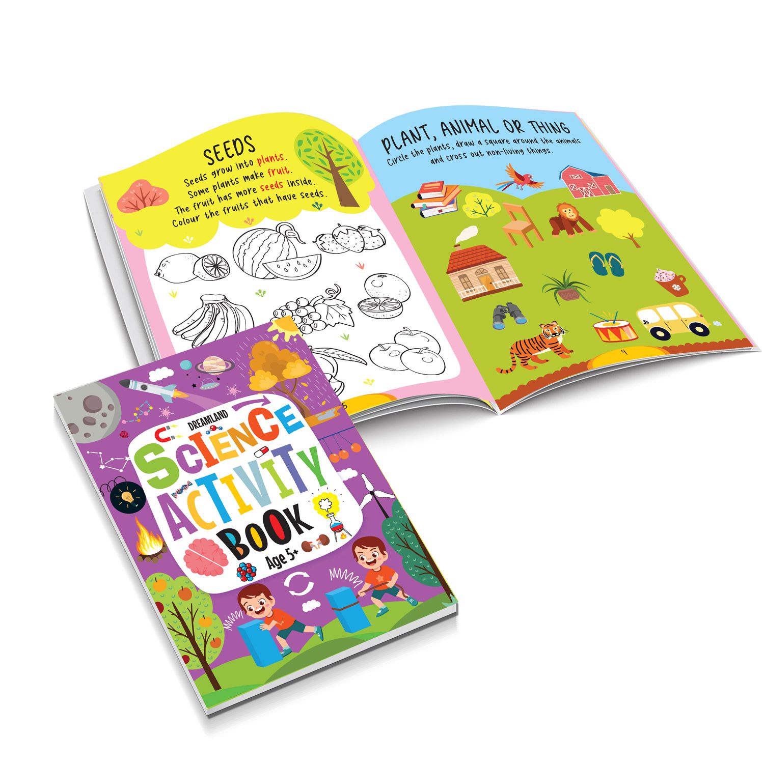 Dreamland Publications - Science Activity Book Age 5+