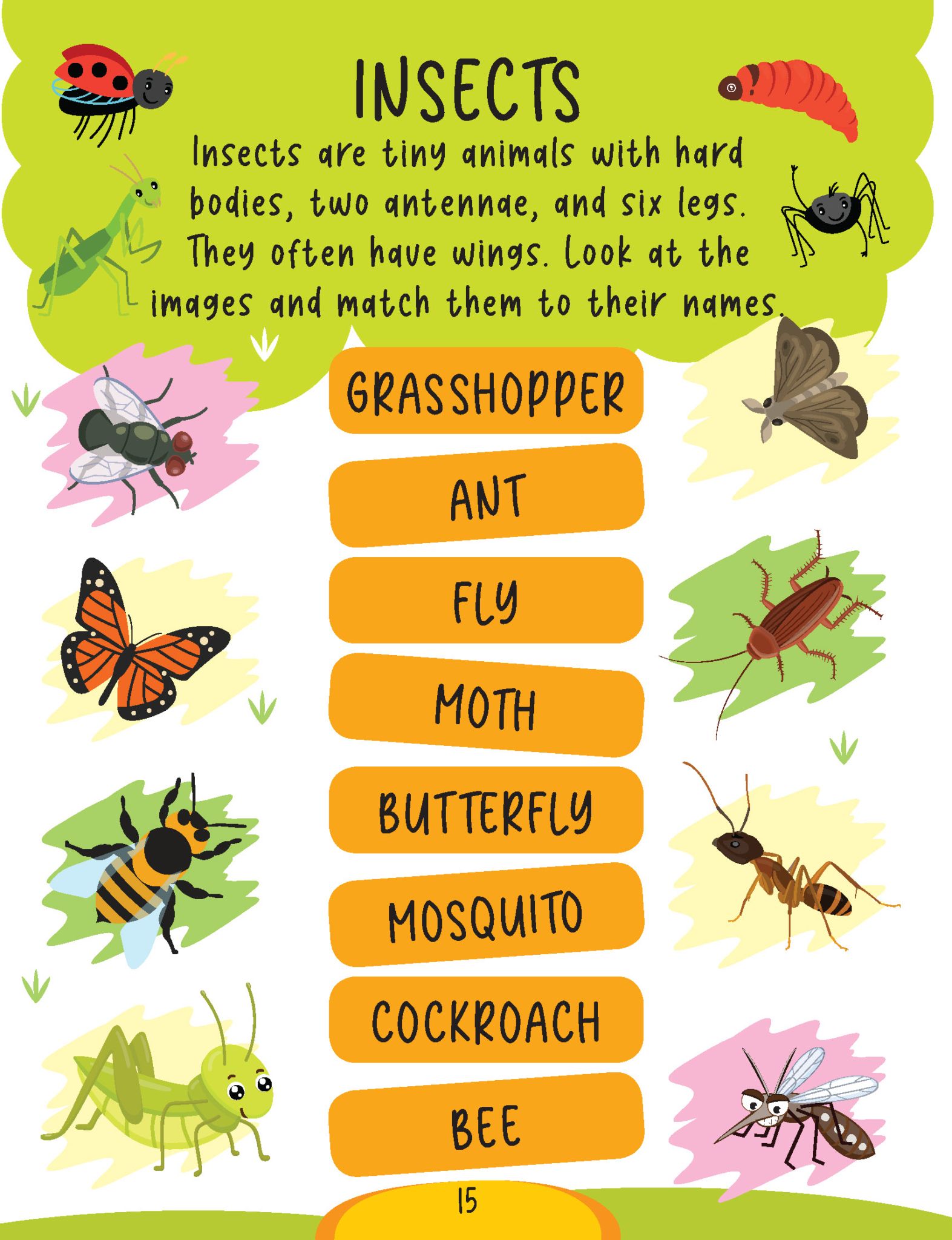 Dreamland Publications - Science Activity Book Age 5+