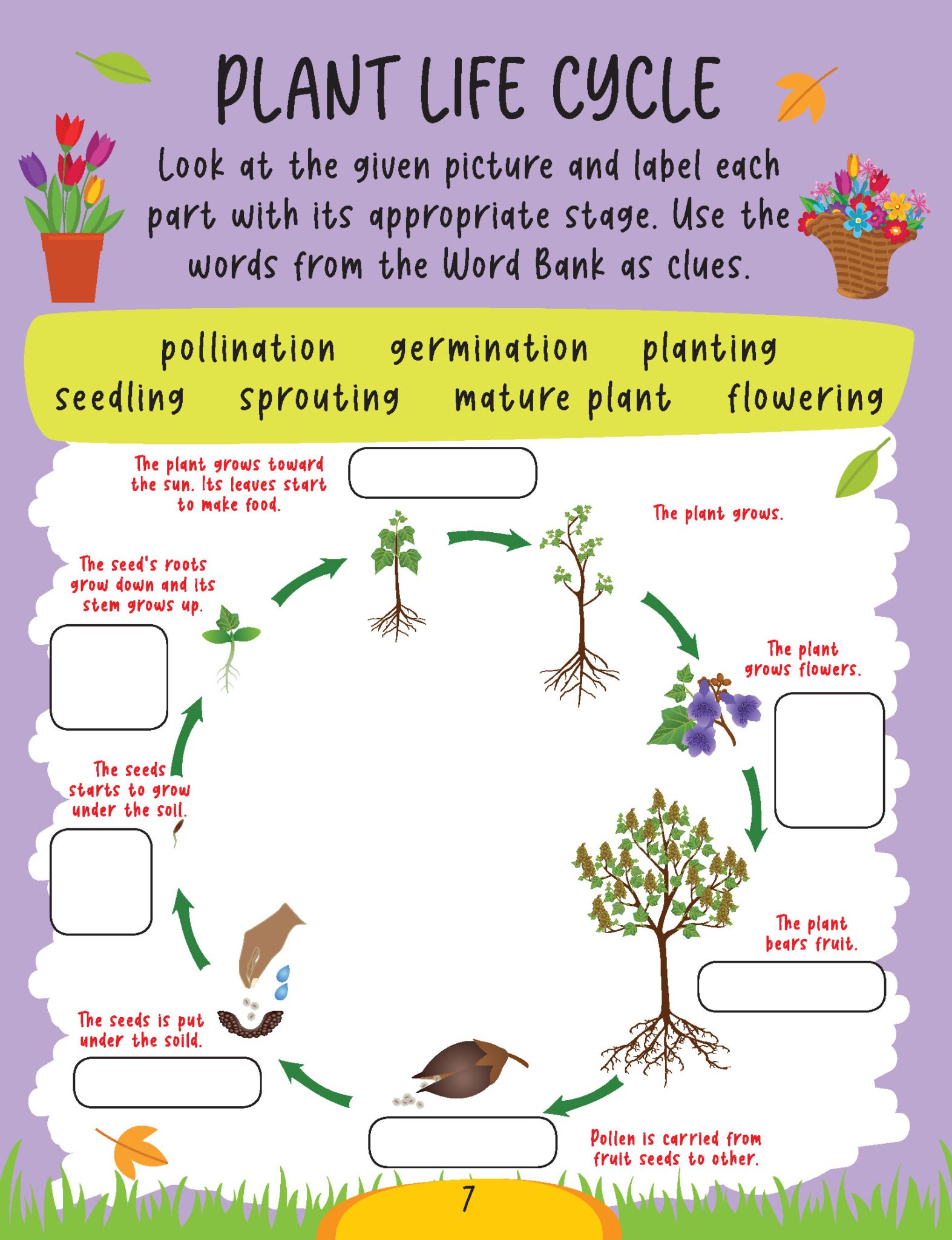Dreamland Publications - Science Activity Book Age 6+