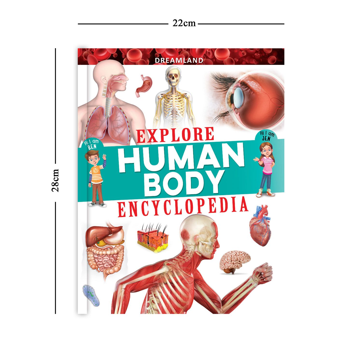 Dreamland Publications - Explore Human Body Encyclopedia