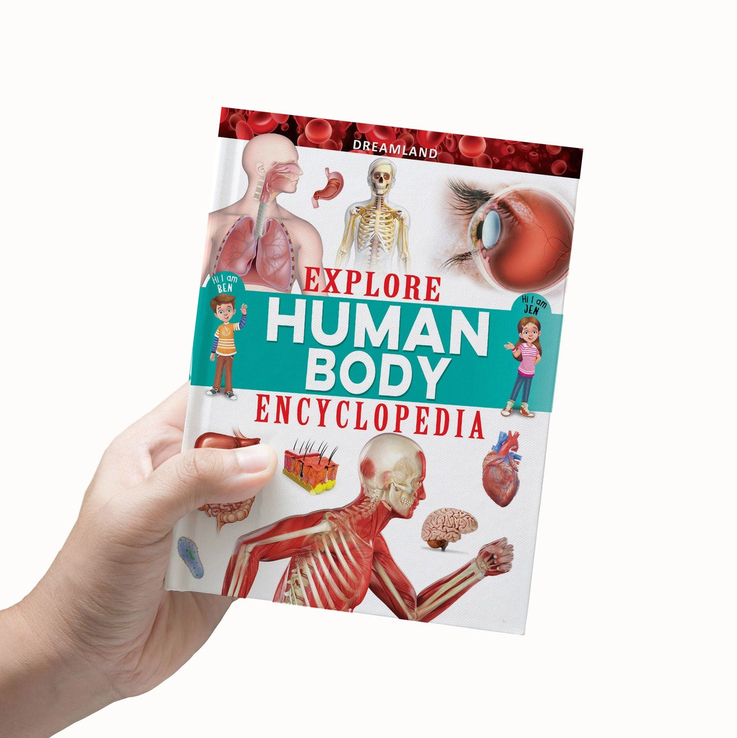 Dreamland Publications - Explore Human Body Encyclopedia