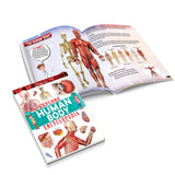 Dreamland Publications - Explore Human Body Encyclopedia