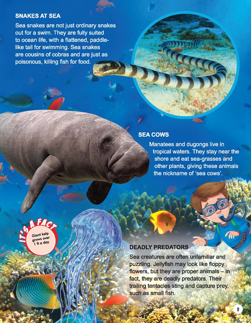Dreamland Publications - Explore Ocean World Encyclopedia