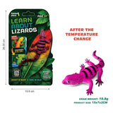 Thinker Place - Learn About Lizards - Armadillo Girdled Lizard