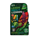 Thinker Place - Learn About Lizards - Armadillo Girdled Lizard