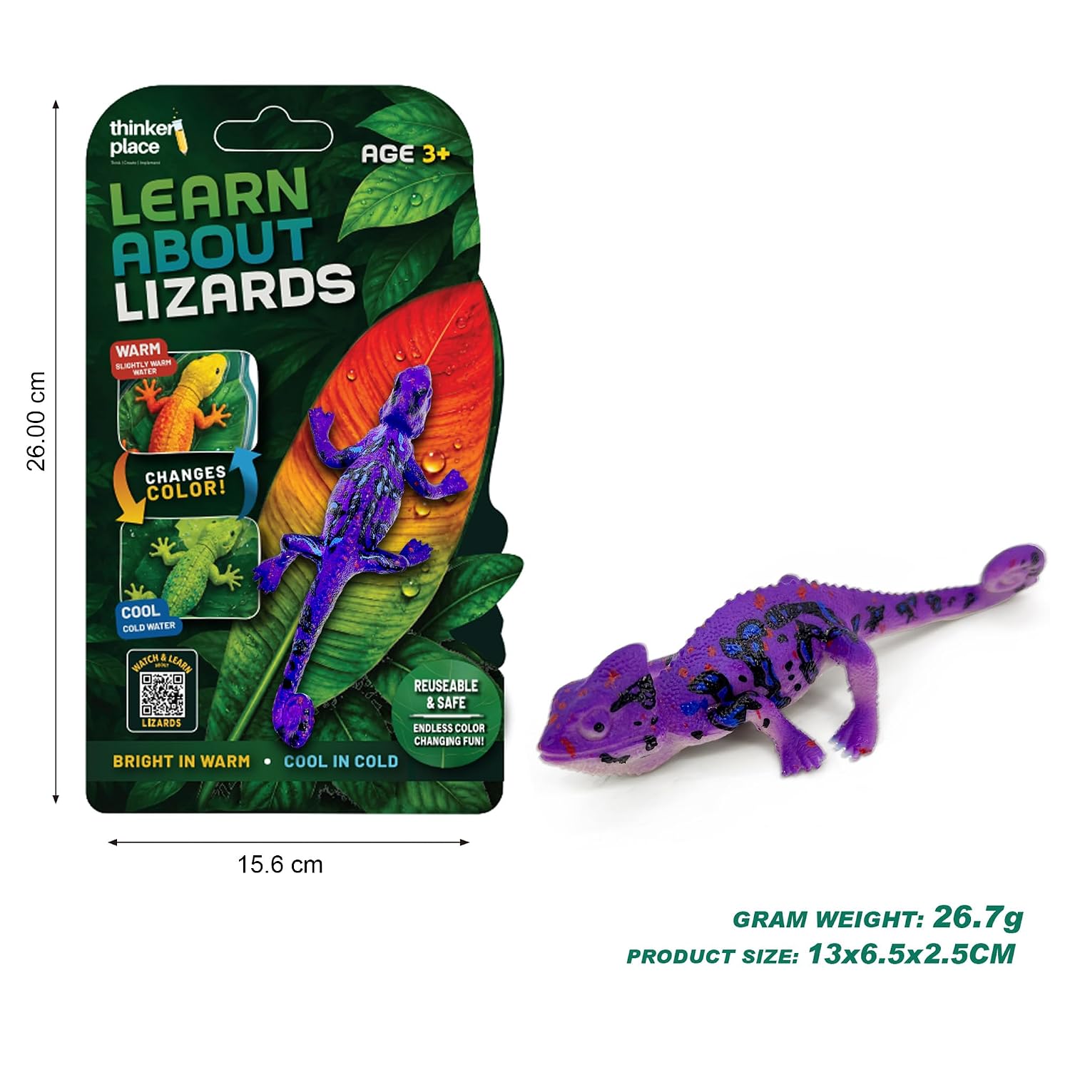 Thinker Place - Learn About Lizards - Chameleon