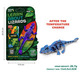 Thinker Place - Learn About Lizards - Chameleon