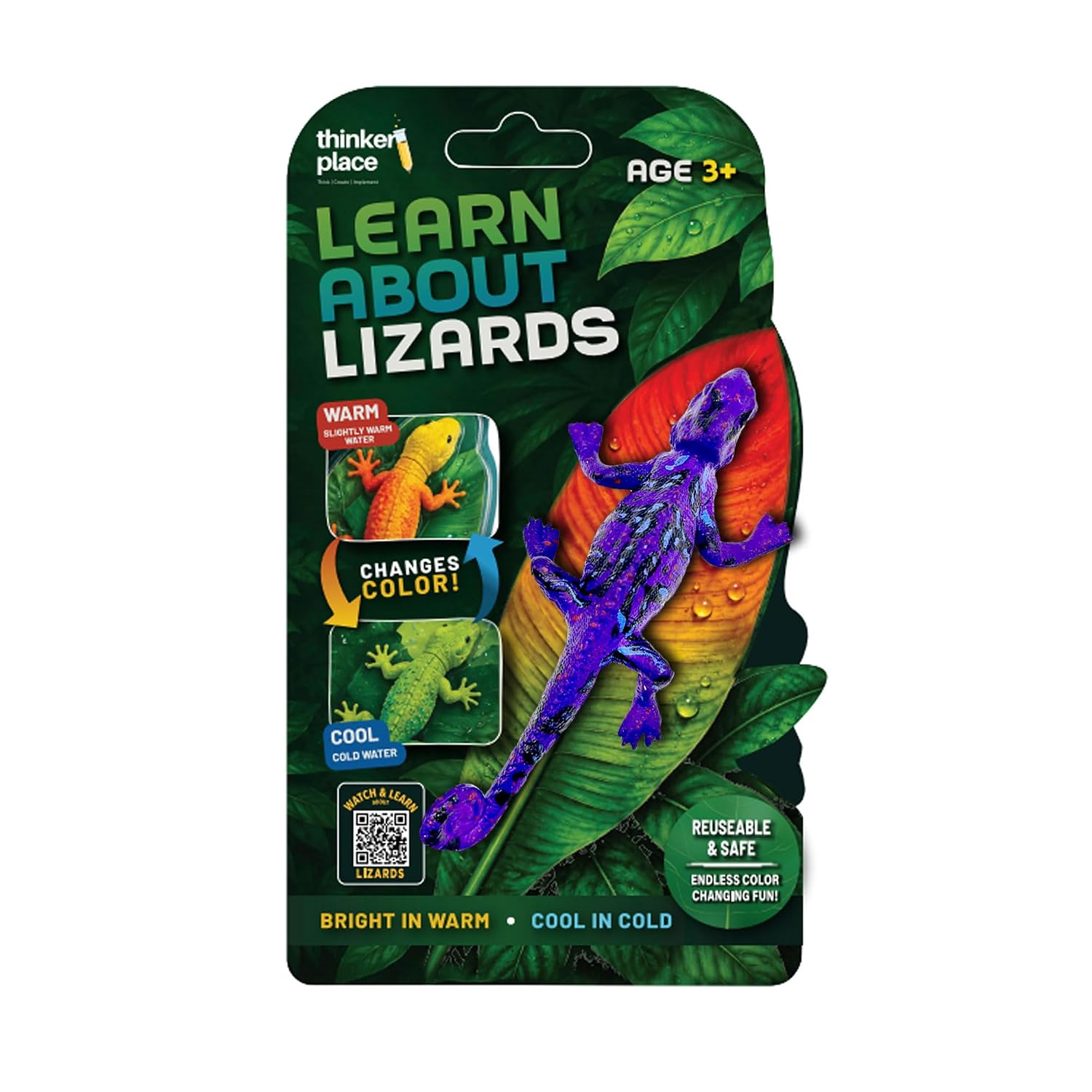Thinker Place - Learn About Lizards - Chameleon