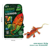 Thinker Place - Learn About Lizards - Common Garden Skink