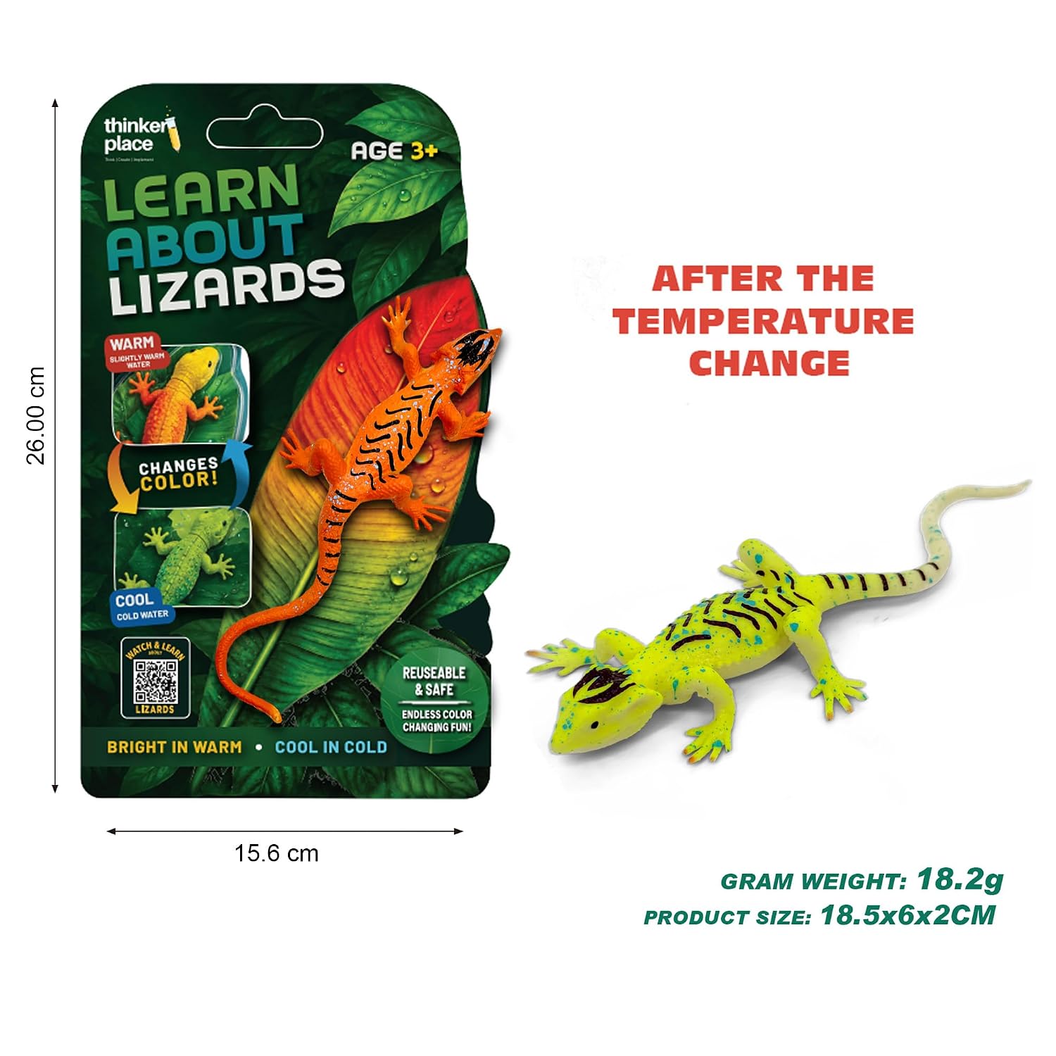 Thinker Place - Learn About Lizards - Common Garden Skink