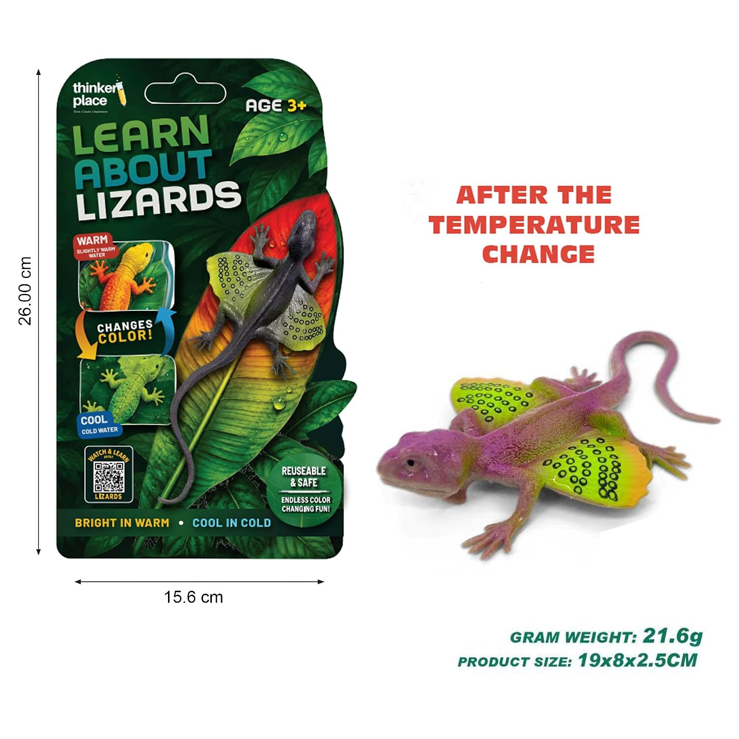 Thinker Place - Learn About Lizards - Flying Gecko