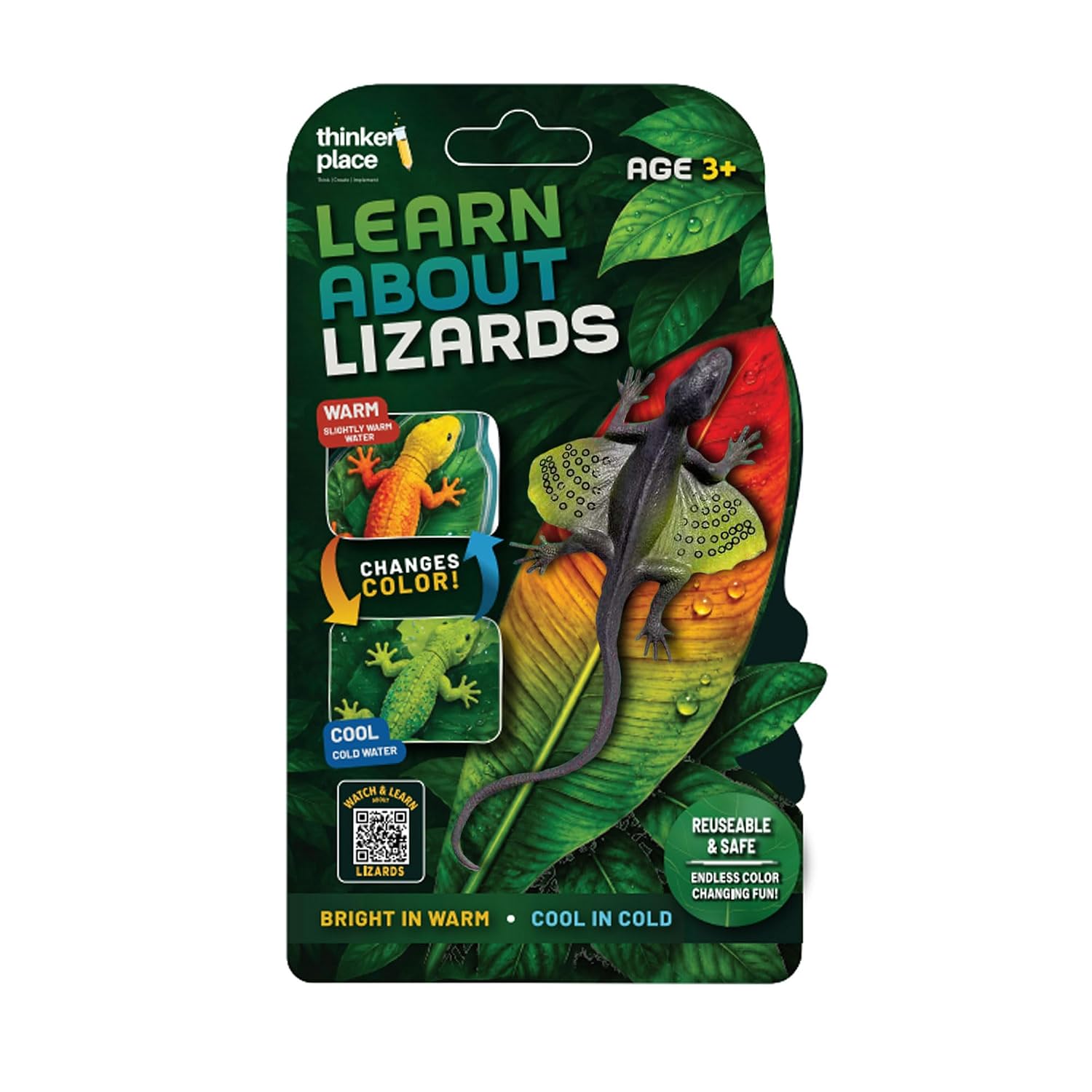Thinker Place - Learn About Lizards - Flying Gecko