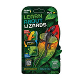 Thinker Place - Learn About Lizards - Flying Gecko