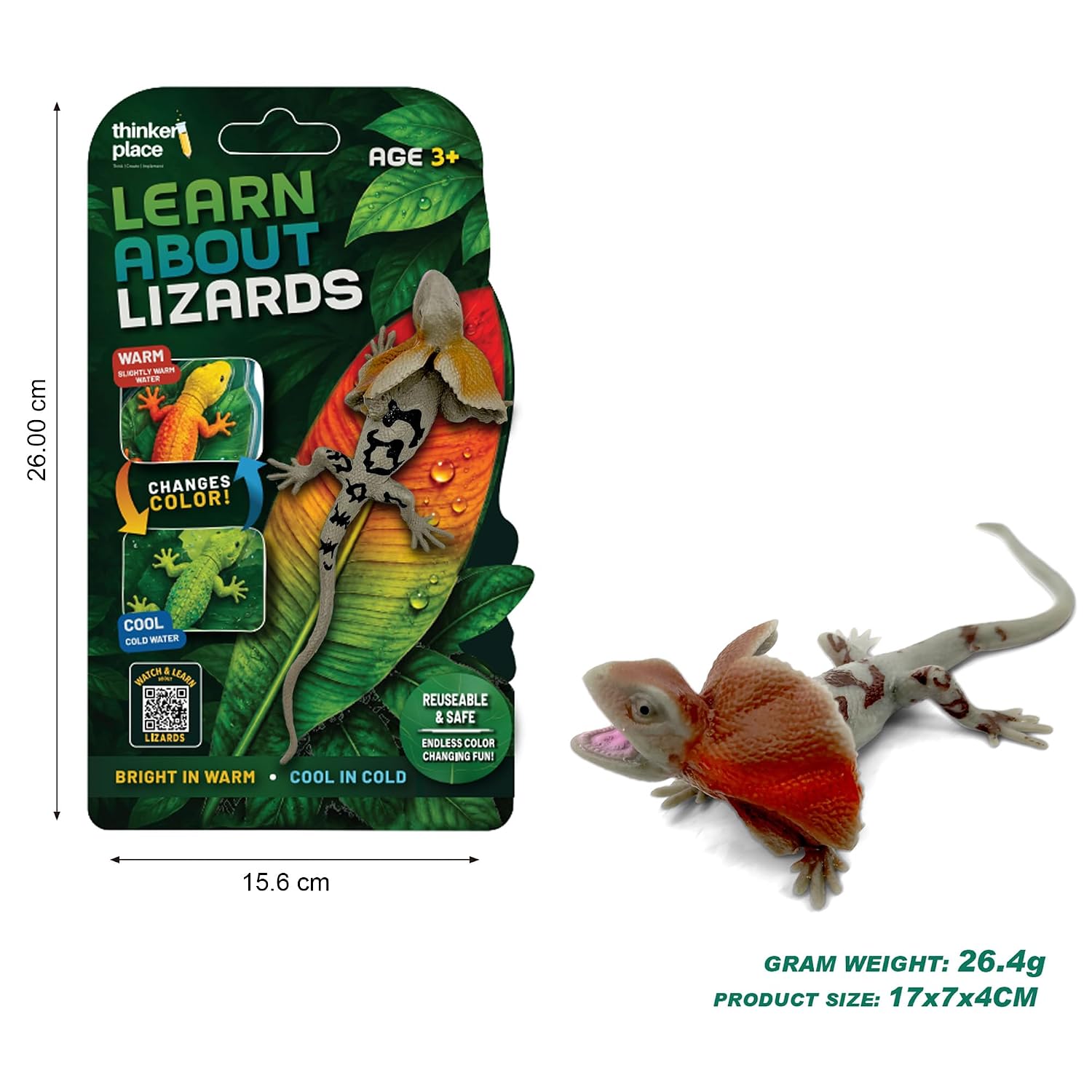 Thinker Place - Learn About Lizards - Frilled Lizard