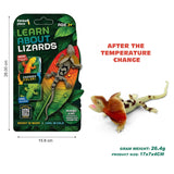 Thinker Place - Learn About Lizards - Frilled Lizard