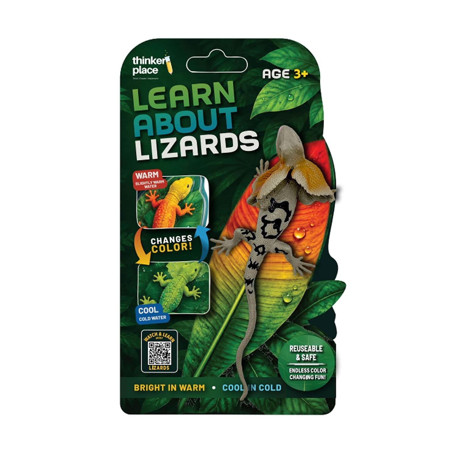 Thinker Place - Learn About Lizards - Frilled Lizard