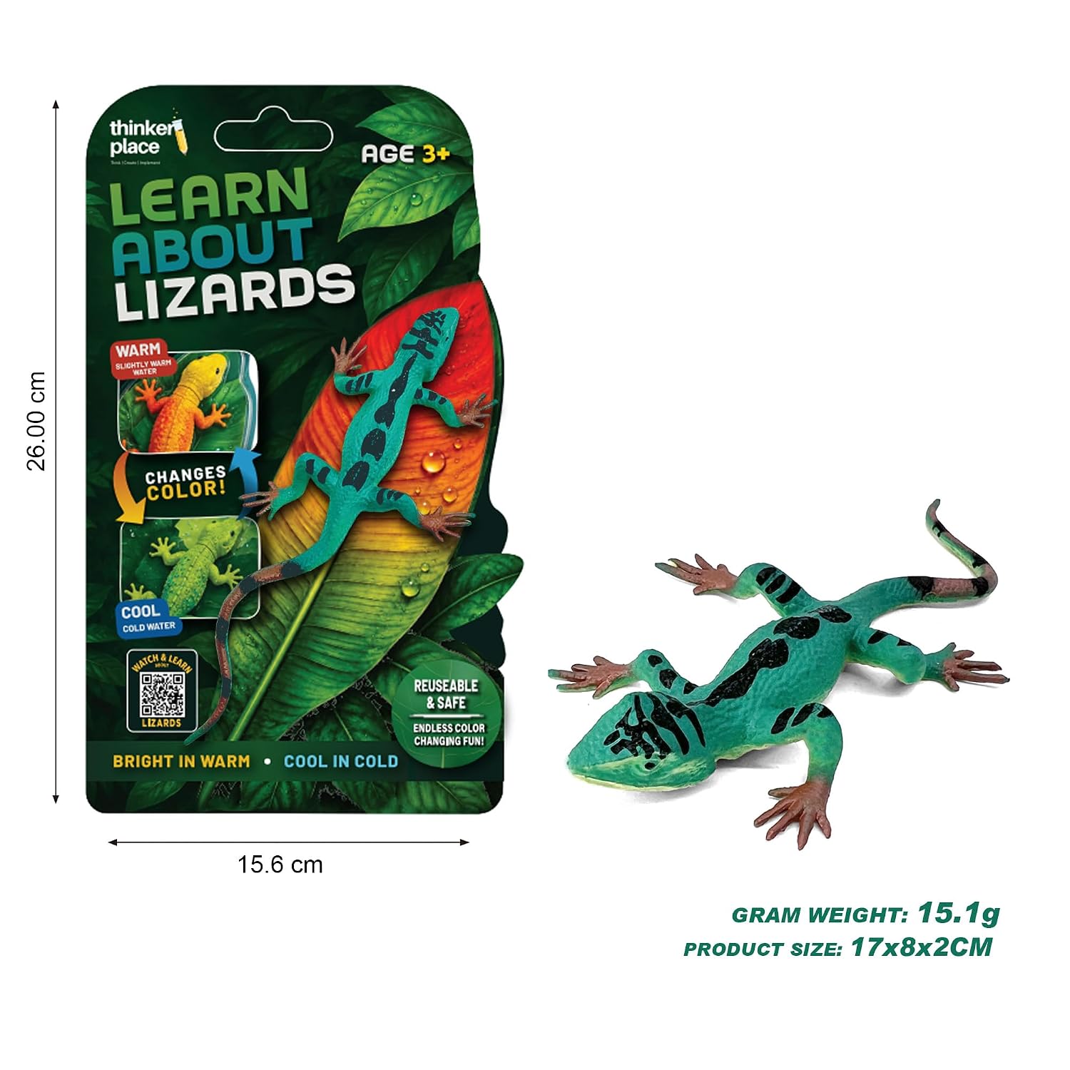Thinker Place - Learn About Lizards - Grass Lizard
