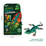 Thinker Place - Learn About Lizards - Grass Lizard