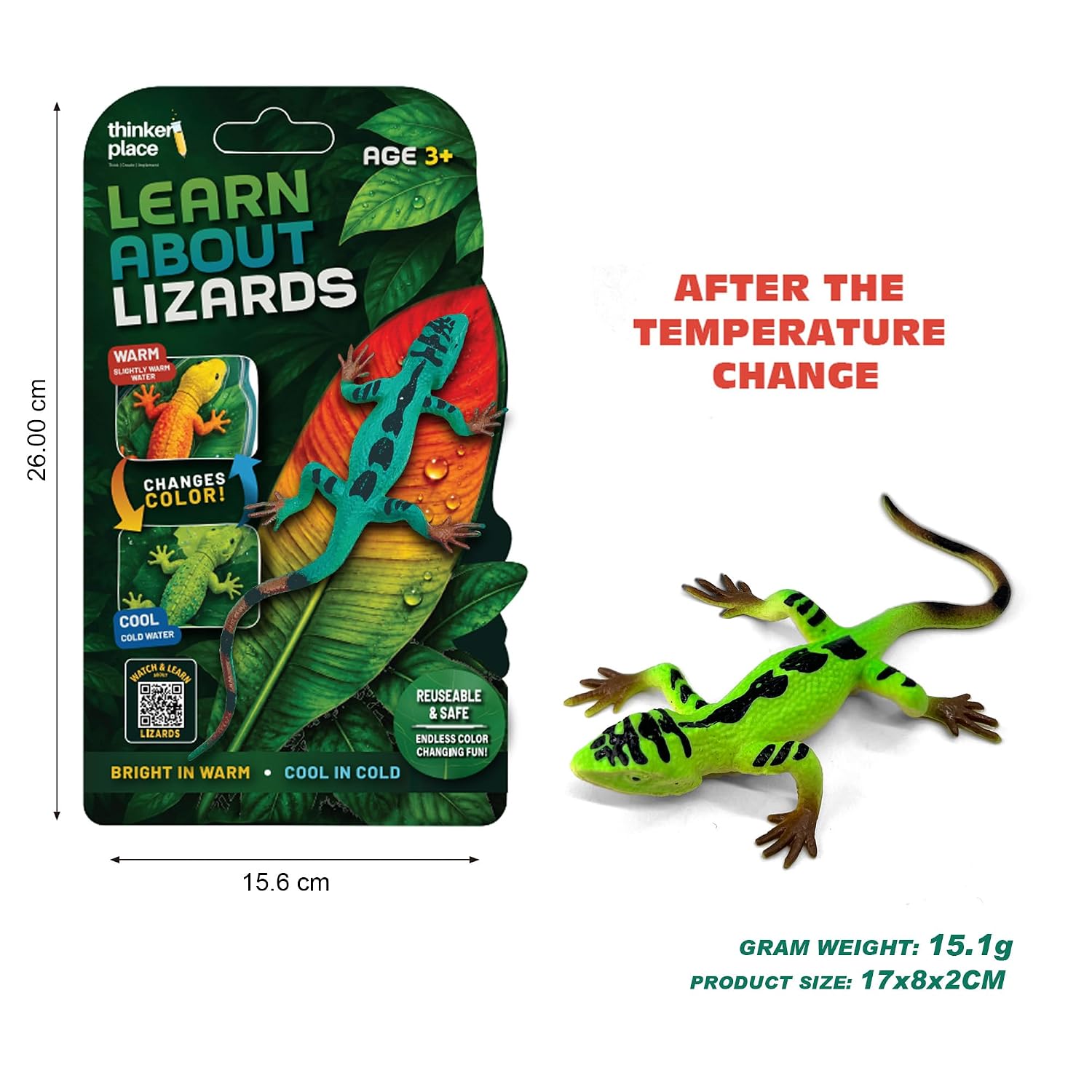 Thinker Place - Learn About Lizards - Grass Lizard