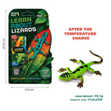 Thinker Place - Learn About Lizards - Grass Lizard
