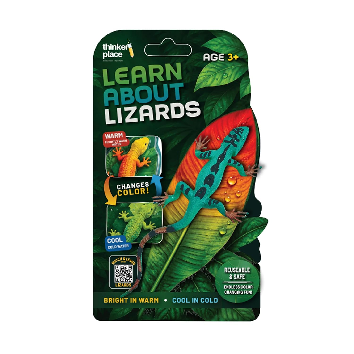 Thinker Place - Learn About Lizards - Grass Lizard