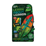 Thinker Place - Learn About Lizards - Grass Lizard