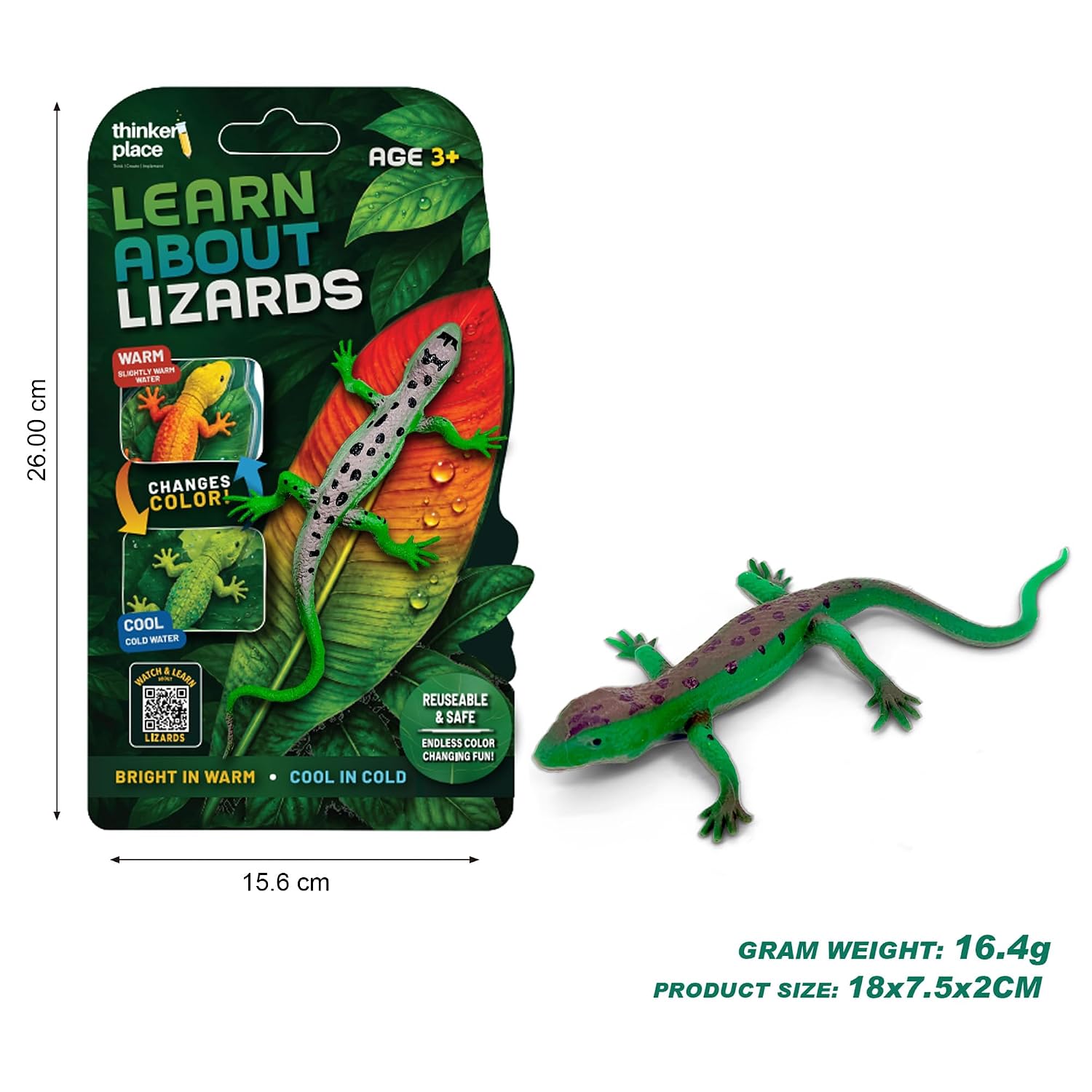 Thinker Place - Learn About Lizards - Green Striped Tree Dragon