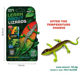Thinker Place - Learn About Lizards - Green Striped Tree Dragon