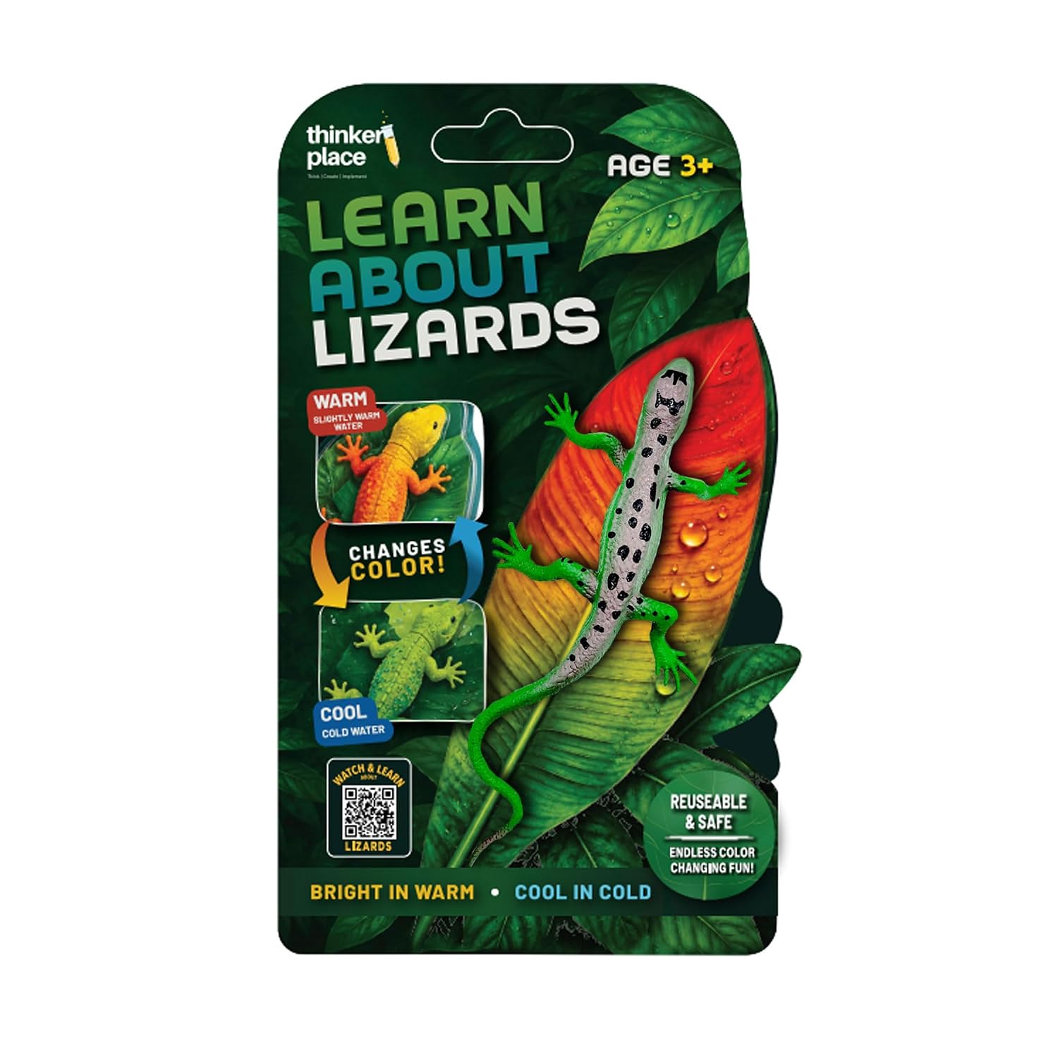 Thinker Place - Learn About Lizards - Green Striped Tree Dragon