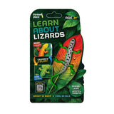 Thinker Place - Learn About Lizards - Green Striped Tree Dragon