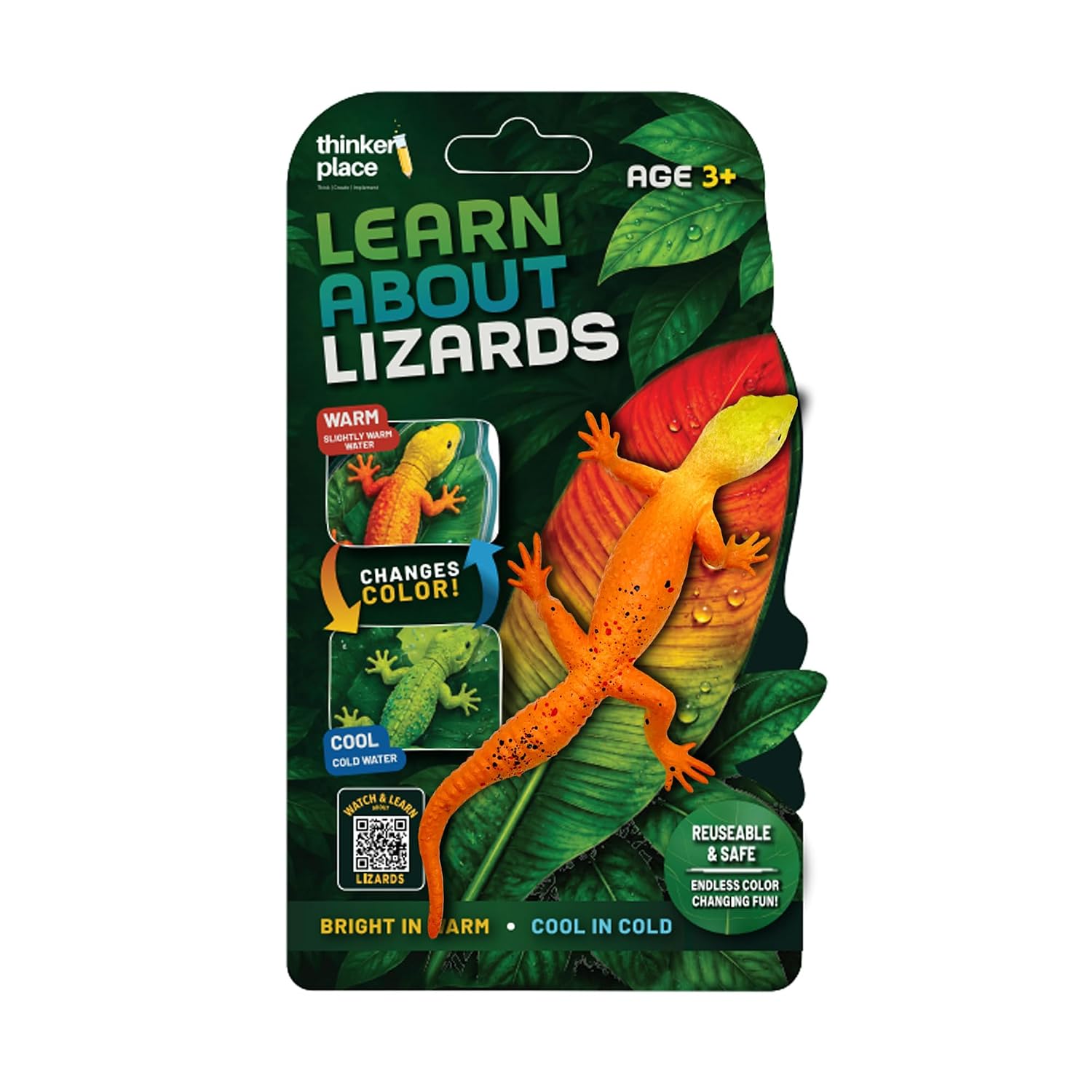 Thinker Place - Learn About Lizards - Leopard Gecko