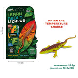 Thinker Place - Learn About Lizards - Skink