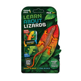 Thinker Place - Learn About Lizards - Skink