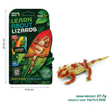 Thinker Place - Learn About Lizards - Thorny Devil