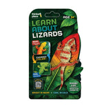 Thinker Place - Learn About Lizards - Thorny Devil