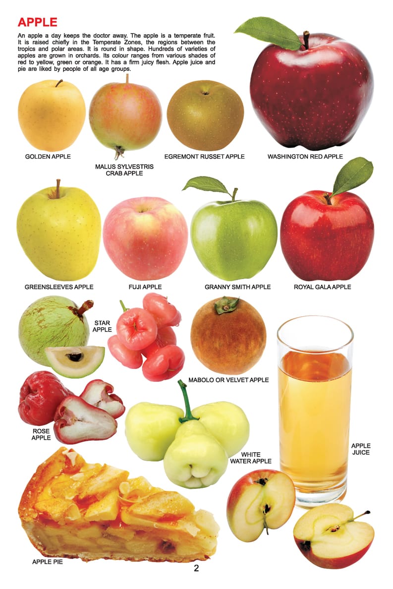 Dreamland Publications - My Jumbo Book - FRUIT