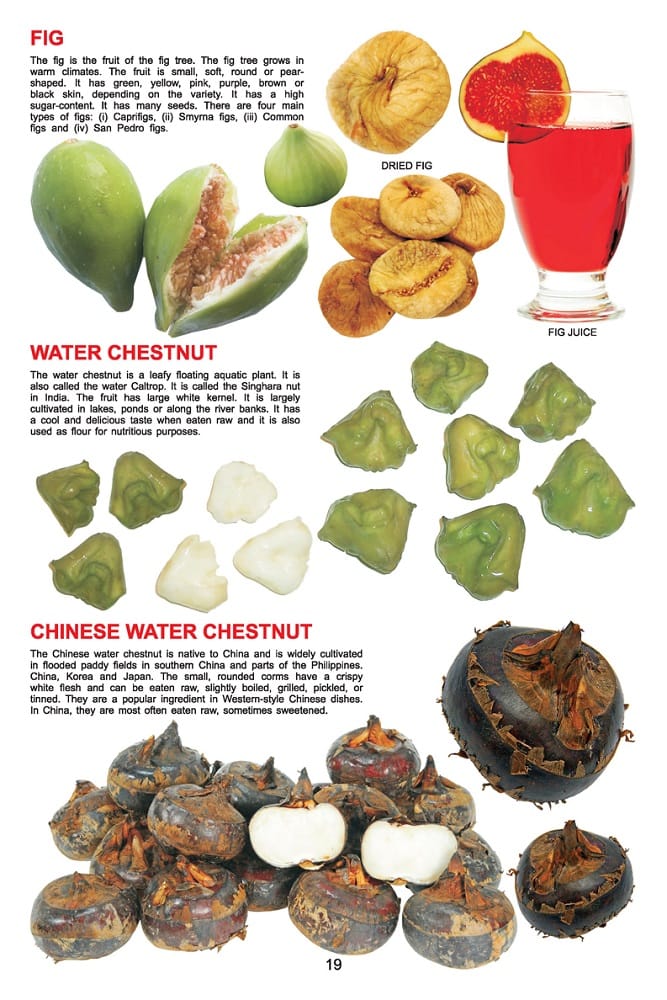Dreamland Publications - My Jumbo Book - FRUIT