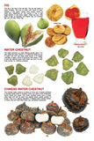 Dreamland Publications - My Jumbo Book - FRUIT