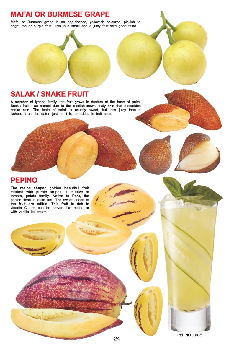 Dreamland Publications - My Jumbo Book - FRUIT