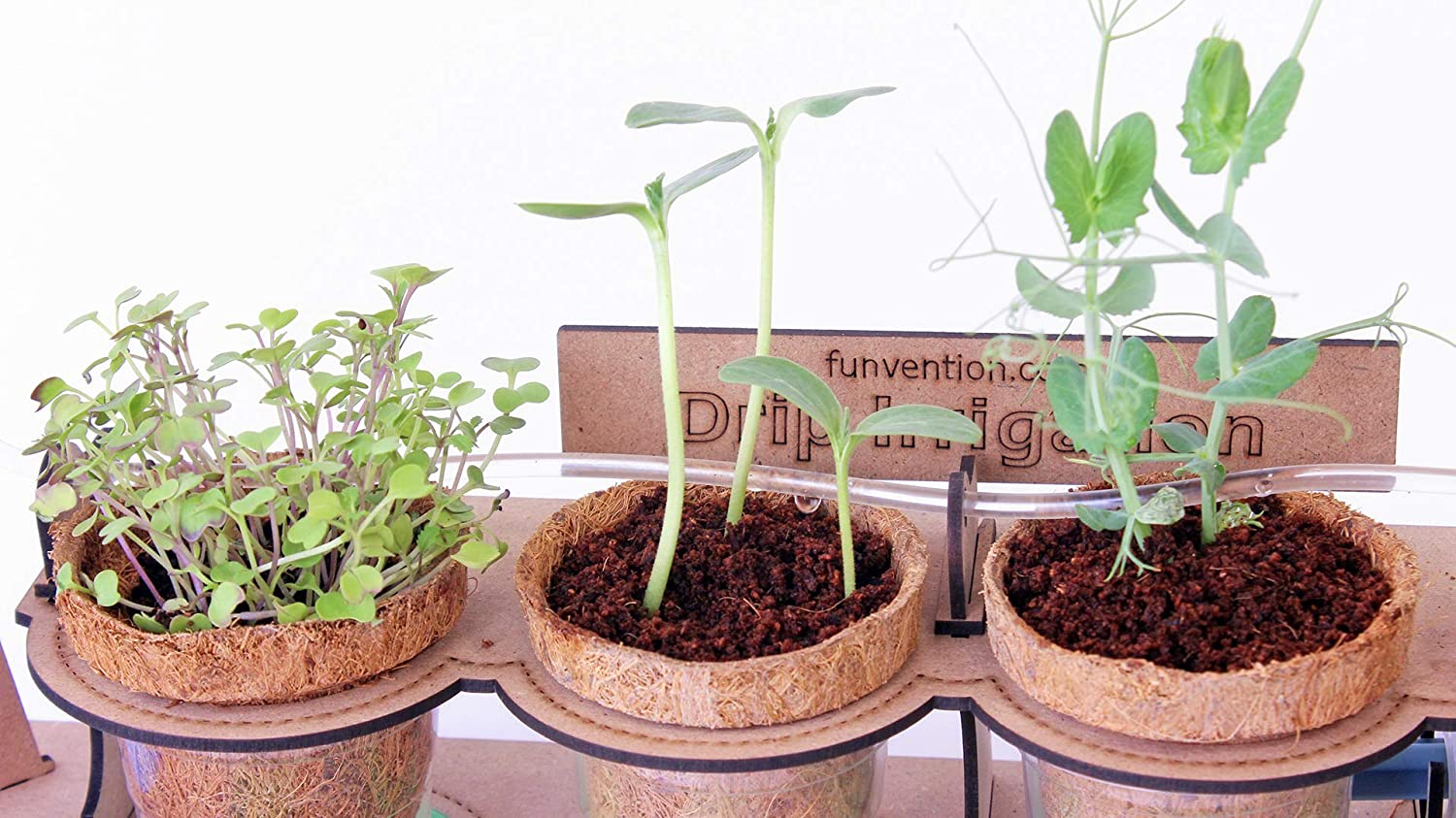 Funvention Garden Drip Irrigation Kit DIY Science Educational Toy