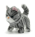 Fuzzbuzz Pugs At Play Zoe the Cat And My First Shaped Board Book Cat
